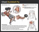 Images of Workout Exercises Chest