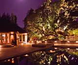 Pictures of Backyard Landscaping Lighting