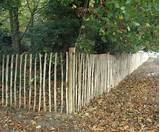 Pale Fencing Panels Pictures