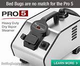 Kill Bed Bugs Using Steam Photos