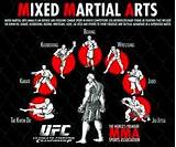 Pictures of Mixed Martial Arts Moves