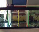 Photos of Where To Get Cheap Fish Tanks