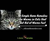 Photos of Home Remedies For Parasites In Cats