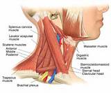 Vocal Cord Dysfunction Breathing Exercises Images