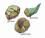 Images of Pokemon Fossils