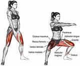 Gracilis Muscle Exercise Pictures