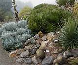 Photos of Rocks For Hillside Landscaping