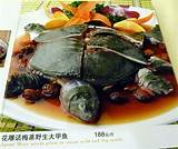 Pictures of Chinese Dishes Authentic