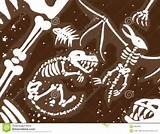 Images of Fossils Bones