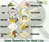 Images of Get Rid Of Nits Home Remedies