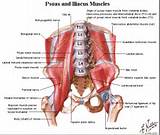 Core Muscles Stretches Images
