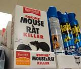 Rat Poison Cats Treatment Images