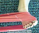 Photos of Tibialis Posterior Muscle Strengthening Exercises