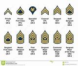 Pictures of Us Army Badges Of Rank