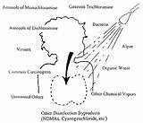 Pictures of Chloramine Gas