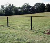 Centaur Fence Cost Images