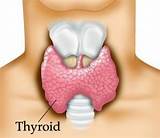 Images of Thyroid Weight Gain Medication