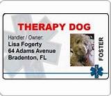 Images of Therapy Dog Accessories