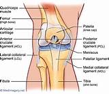 Images of Muscle Strengthening Around Knee