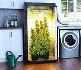 How To Grow Good Marijuana Indoors Images