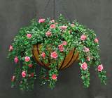 Fake Outdoor Hanging Flowers Pictures
