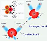Photos of Hydrogen Bond Definition
