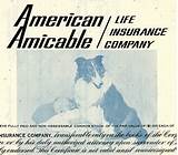 American Life Insurance Company Alico
