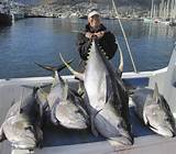 Photos of Tuna Com Fishing Charters