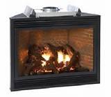 Propane Fireplace With Vent