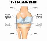 When To See A Doctor For Knee Pain Images