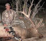 New Mexico Elk Hunting Outfitters Photos