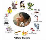 Home Remedies For Allergy Induced Asthma Pictures