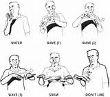 Sign Language Classes Online Free