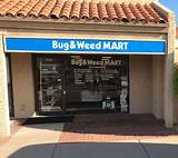 Photos of Weed Control Scottsdale Az