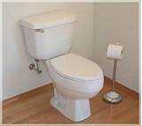 Installing New Toilet Pictures