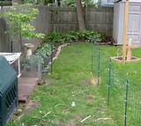 In Ground Fencing For Dogs
