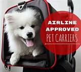 Images of Airline Approved Dog Carrier