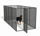 Invisible Dog Fence Amazon Images