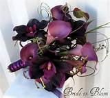Eggplant Colored Silk Flowers Images