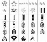 Navy Rank Symbols Photos