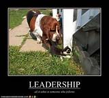 Funny Leadership Quotes Images