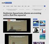 Seahorse Website Builder Pictures