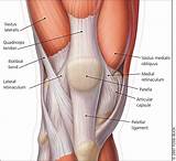 Pictures of Muscle Exercises For Knee Pain