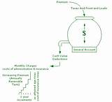 How Cash Value Life Insurance Works Pictures