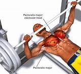 Pictures of Upper Chest Muscle Exercises