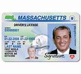 Florida Drivers License Learners Permit Requirements Pictures