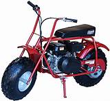 Pictures of Gas Powered Mini Bikes