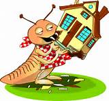 Images of Cartoon Termite