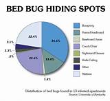 Images of Bed Bug Treatment Options