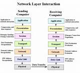Which Layers Are Network Support Layers